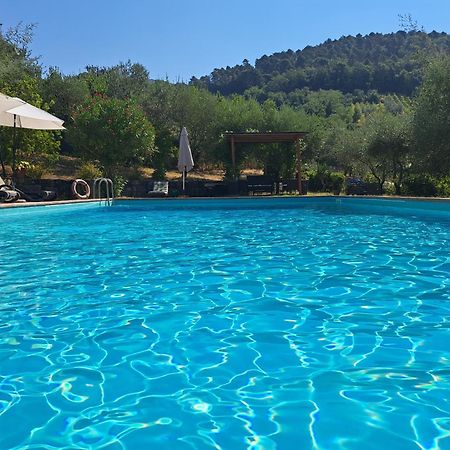 Agriturismo Poggio All'Olmo Villa Greve in Chianti Bagian luar foto