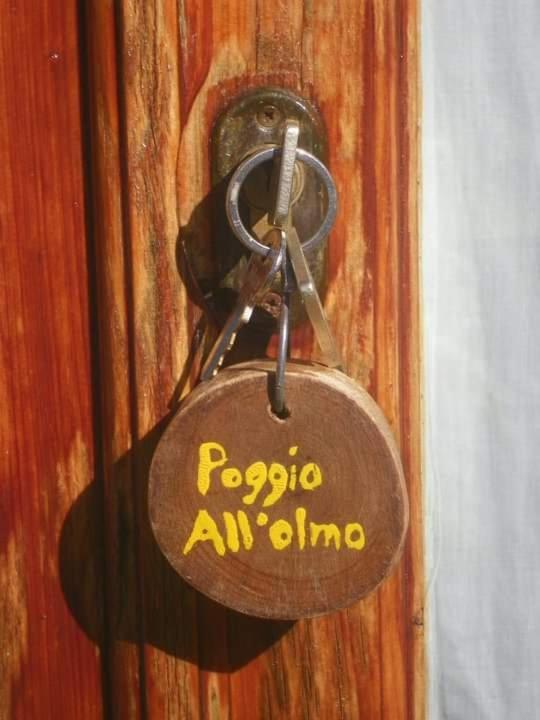 Agriturismo Poggio All'Olmo Villa Greve in Chianti Bagian luar foto