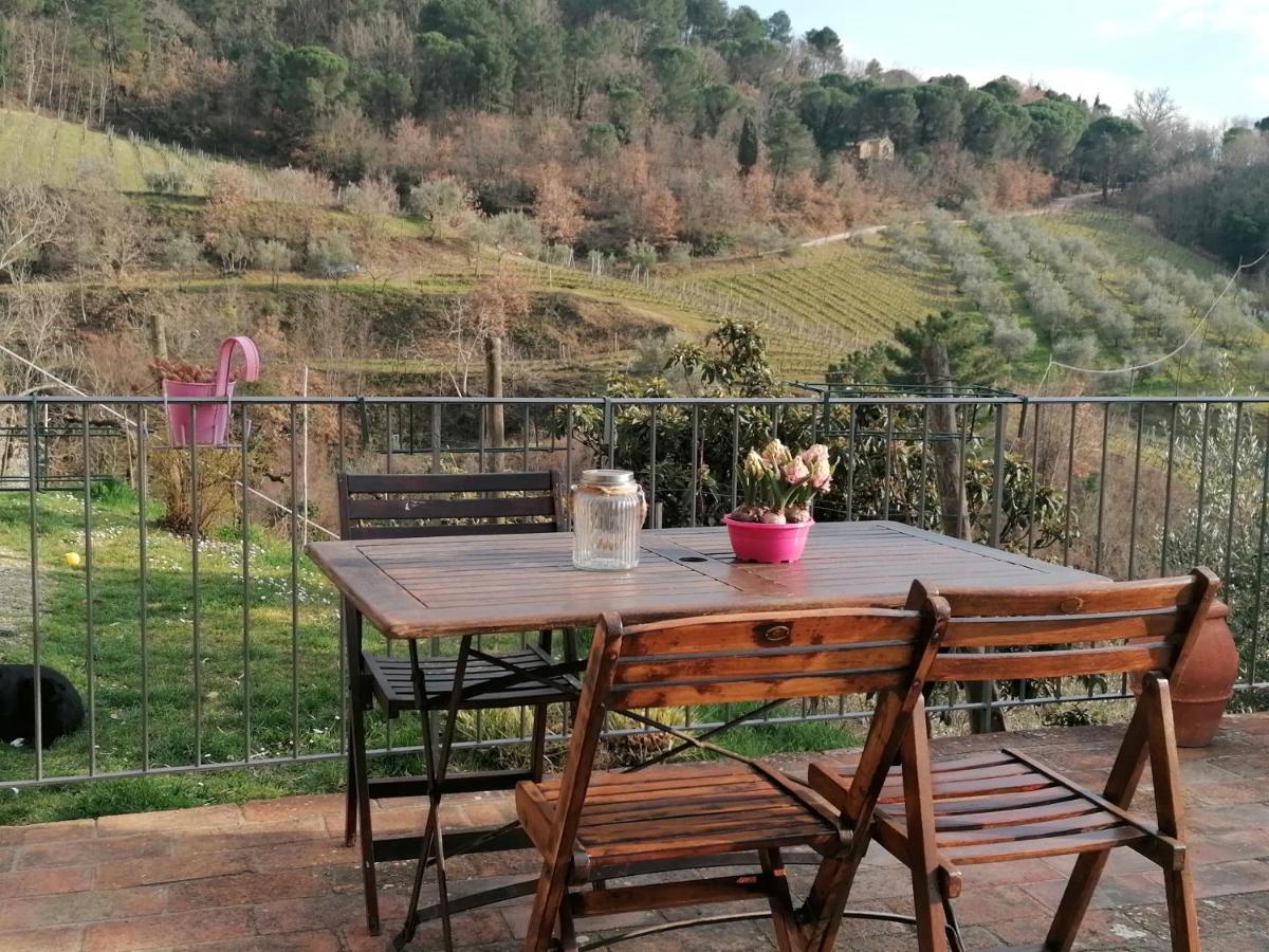 Agriturismo Poggio All'Olmo Villa Greve in Chianti Bagian luar foto