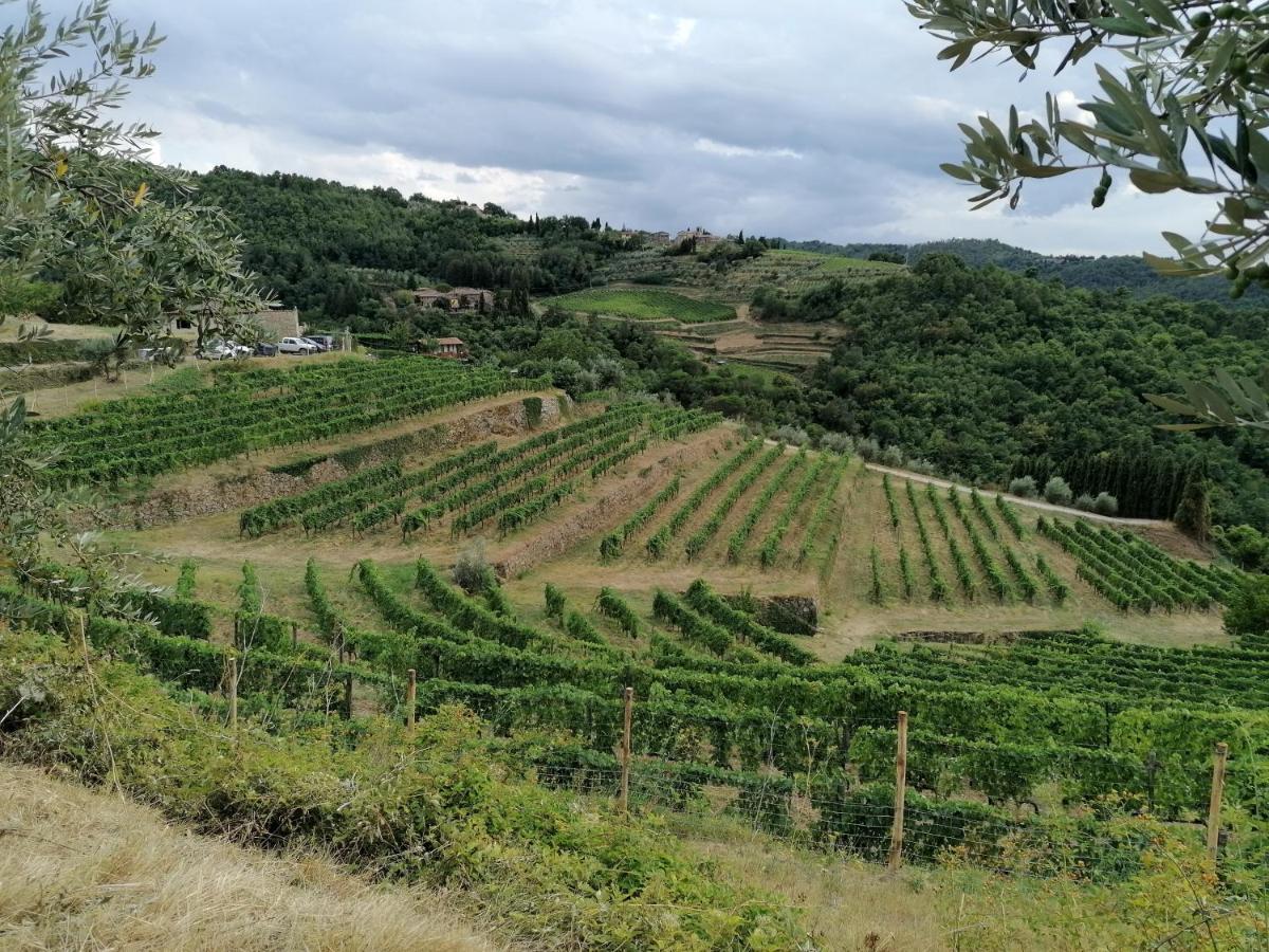 Agriturismo Poggio All'Olmo Villa Greve in Chianti Bagian luar foto