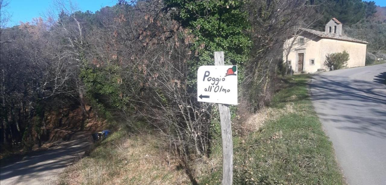 Agriturismo Poggio All'Olmo Villa Greve in Chianti Bagian luar foto