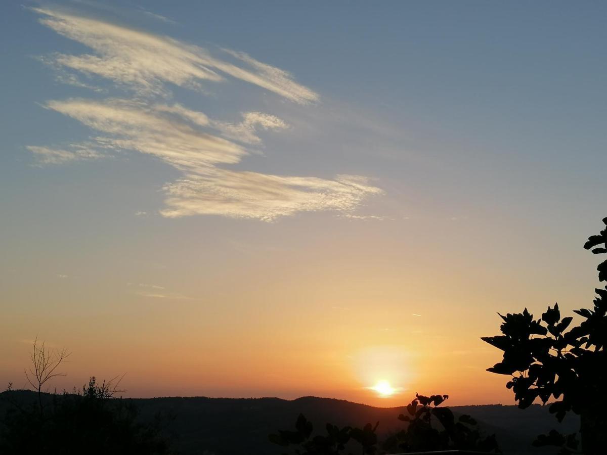 Agriturismo Poggio All'Olmo Villa Greve in Chianti Bagian luar foto