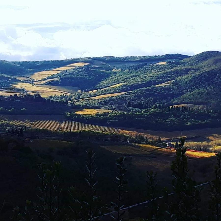 Agriturismo Poggio All'Olmo Villa Greve in Chianti Bagian luar foto