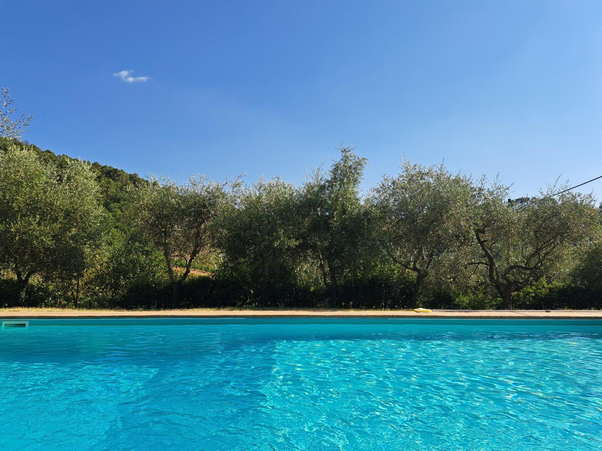 Agriturismo Poggio All'Olmo Villa Greve in Chianti Bagian luar foto