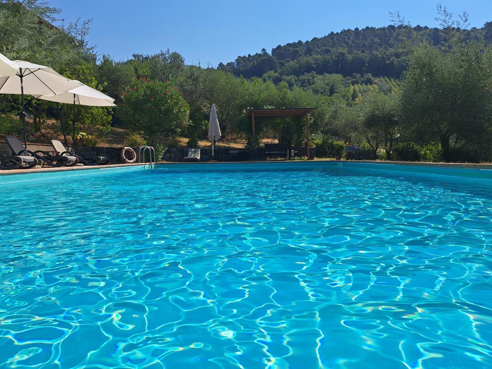 Agriturismo Poggio All'Olmo Villa Greve in Chianti Bagian luar foto