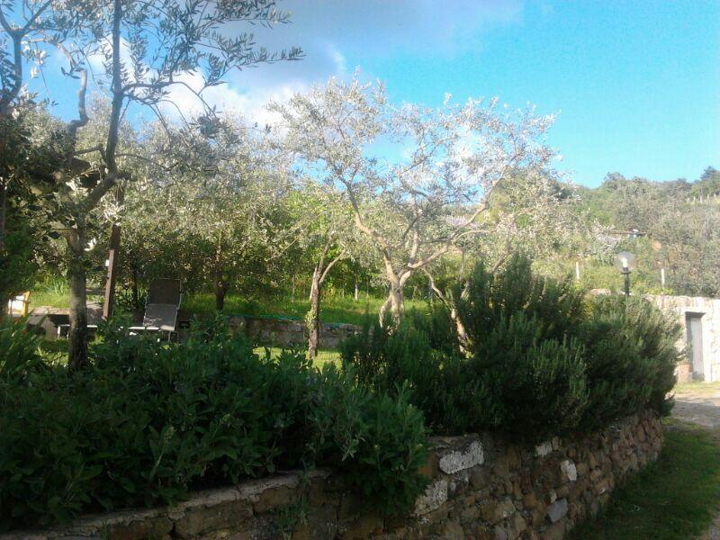 Agriturismo Poggio All'Olmo Villa Greve in Chianti Bagian luar foto