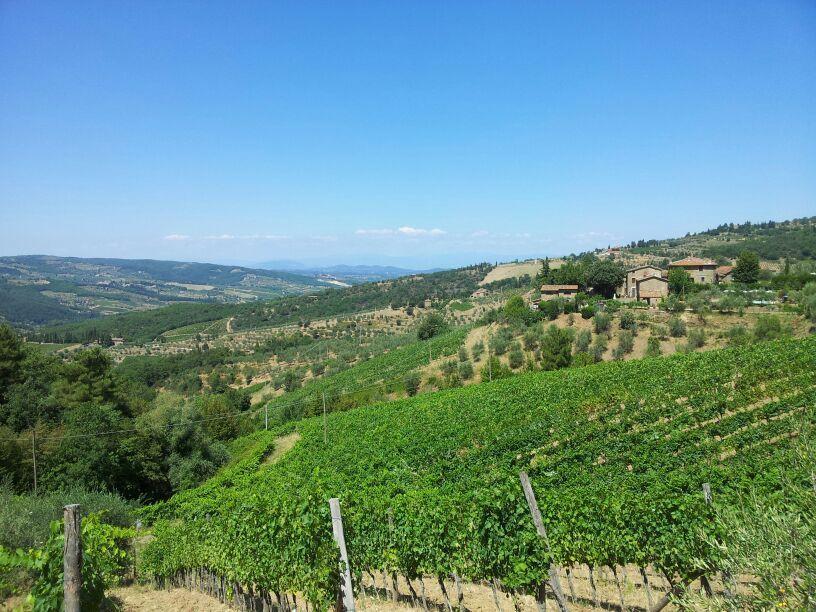 Agriturismo Poggio All'Olmo Villa Greve in Chianti Bagian luar foto