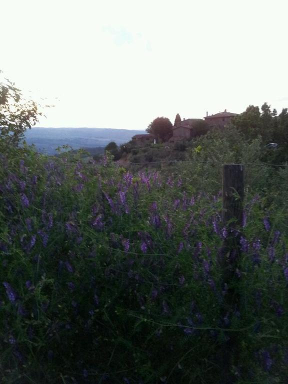 Agriturismo Poggio All'Olmo Villa Greve in Chianti Bagian luar foto