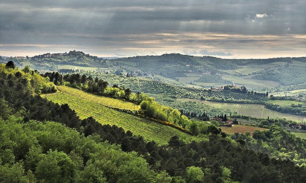 Agriturismo Poggio All'Olmo Villa Greve in Chianti Bagian luar foto