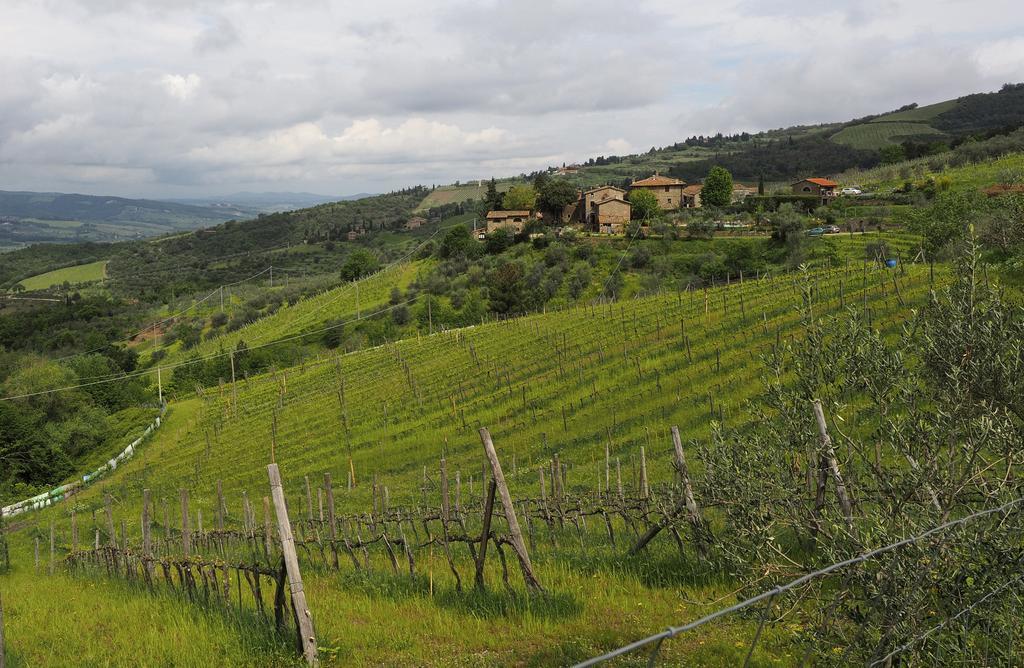 Agriturismo Poggio All'Olmo Villa Greve in Chianti Bagian luar foto