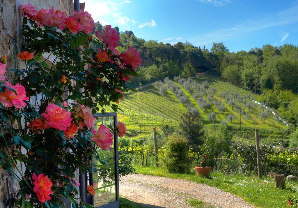 Agriturismo Poggio All'Olmo Villa Greve in Chianti Bagian luar foto