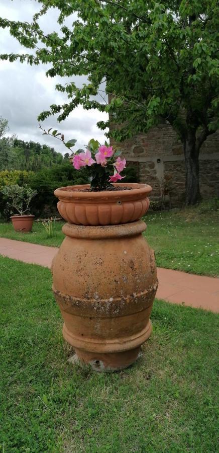Agriturismo Poggio All'Olmo Villa Greve in Chianti Bagian luar foto