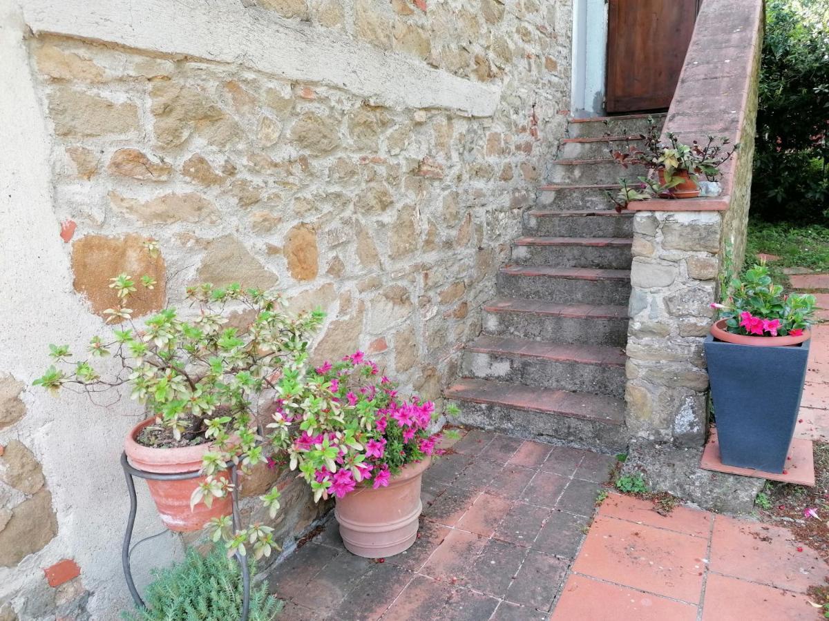 Agriturismo Poggio All'Olmo Villa Greve in Chianti Bagian luar foto